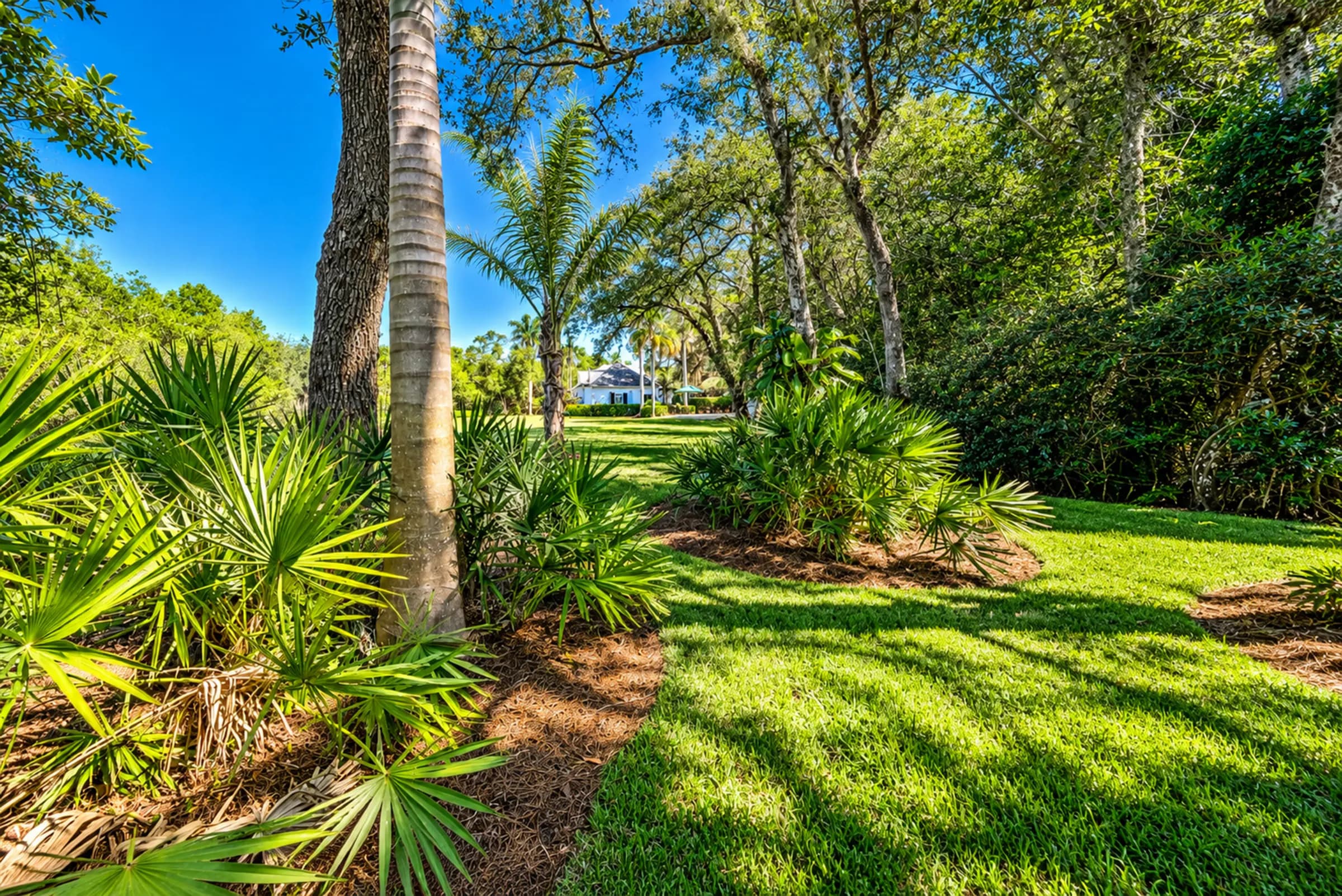 Palms and shade gardens